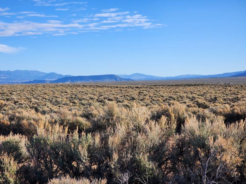 4.8 Acres for Sale in San Luis, Colorado