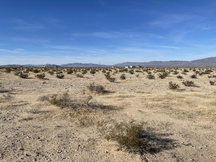 5 Acres for Sale in Twentynine Palms, California