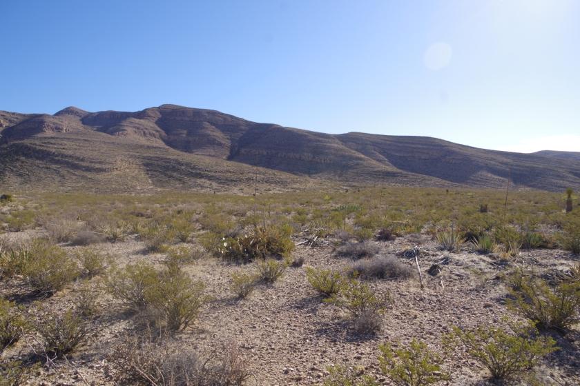 0.14 Acres for Sale in El Paso, Texas