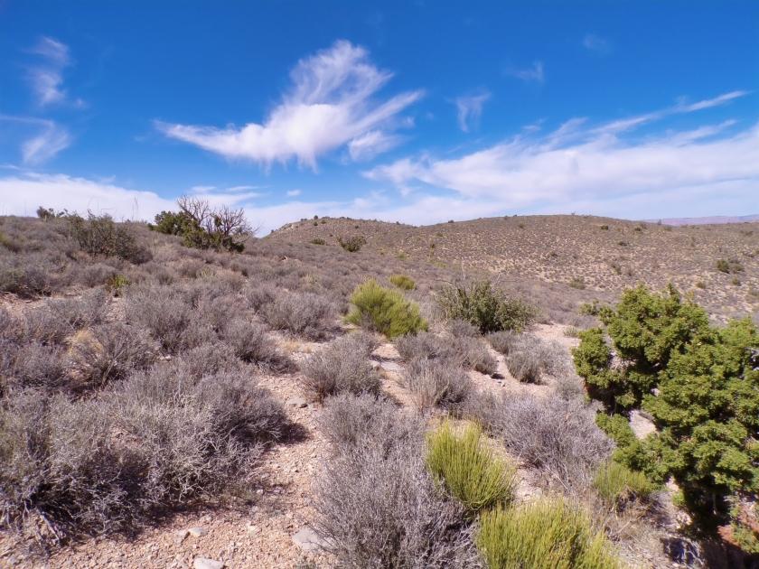 1.25 Acres for Sale in Kingman, Arizona