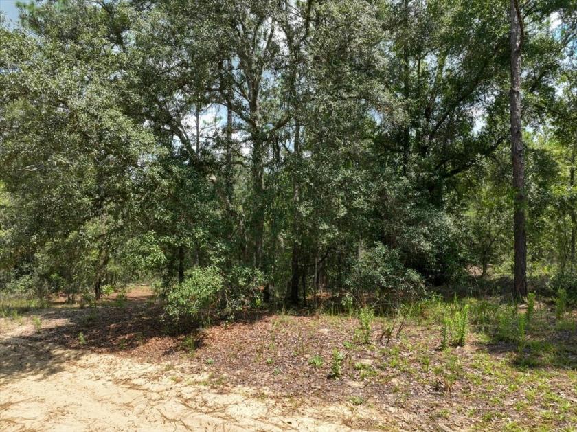 0.35 Acres for Sale in Interlachen, Florida