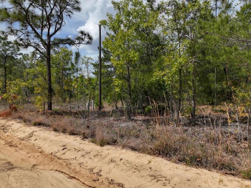 0.7 Acres for Sale in Interlachen, Florida