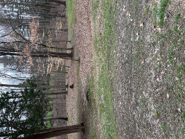 1.16 Acres for Sale in Delaware, Ohio