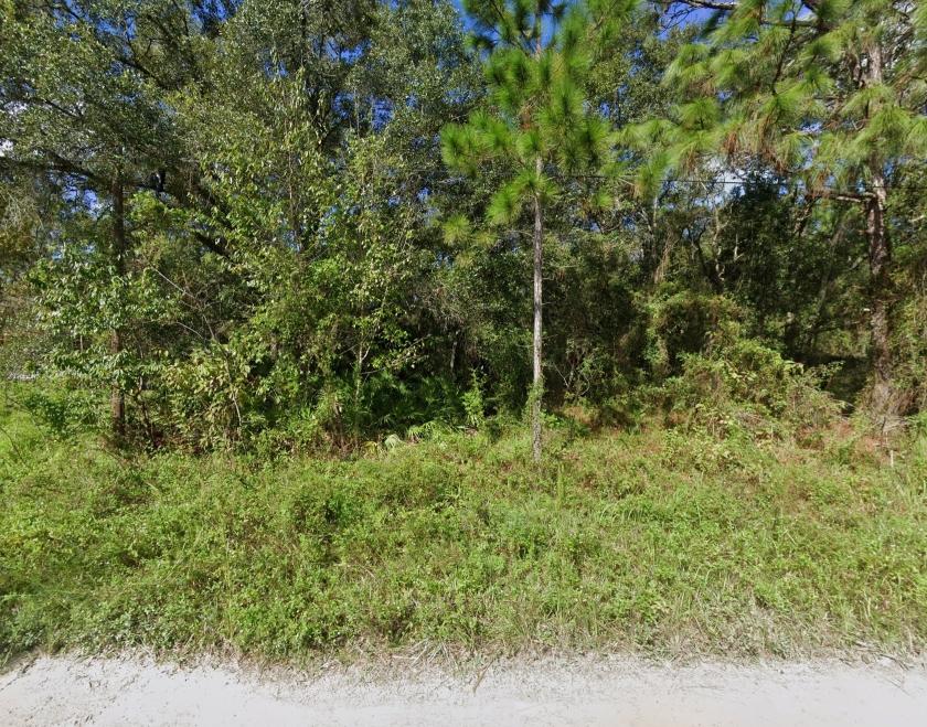Off-Market. Wholesale Deal for Land Investors and Sellers. Mobile Home or Tiny Home lot in Florida.