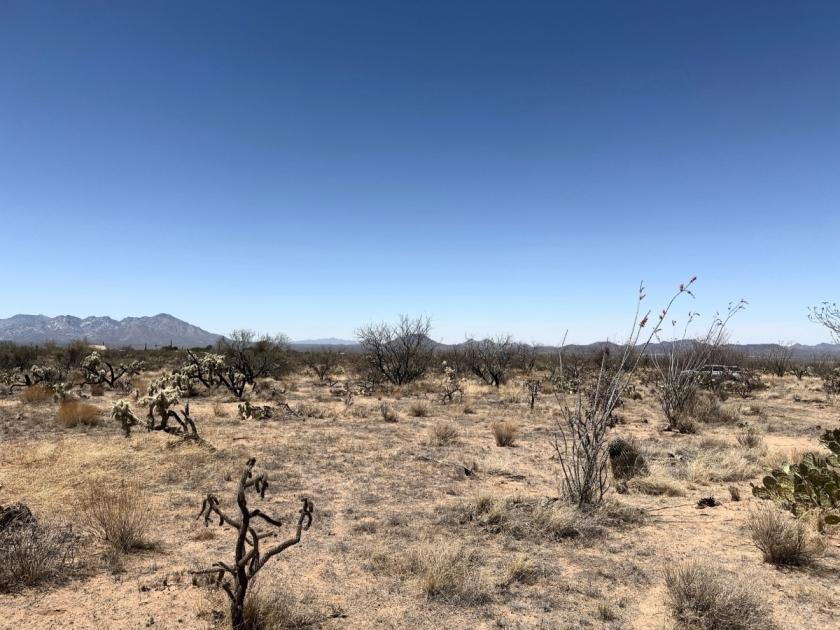 1.11 Acres for Sale in Tucson, Arizona