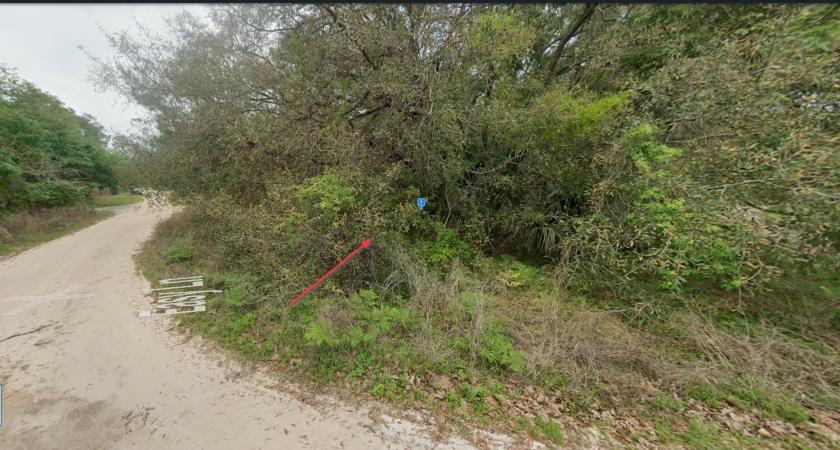 0.31 Acres for Sale in Satsuma, Florida