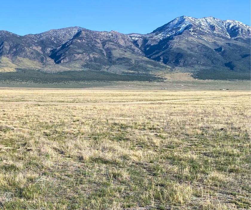 10 Acres for Sale in Montello, Nevada