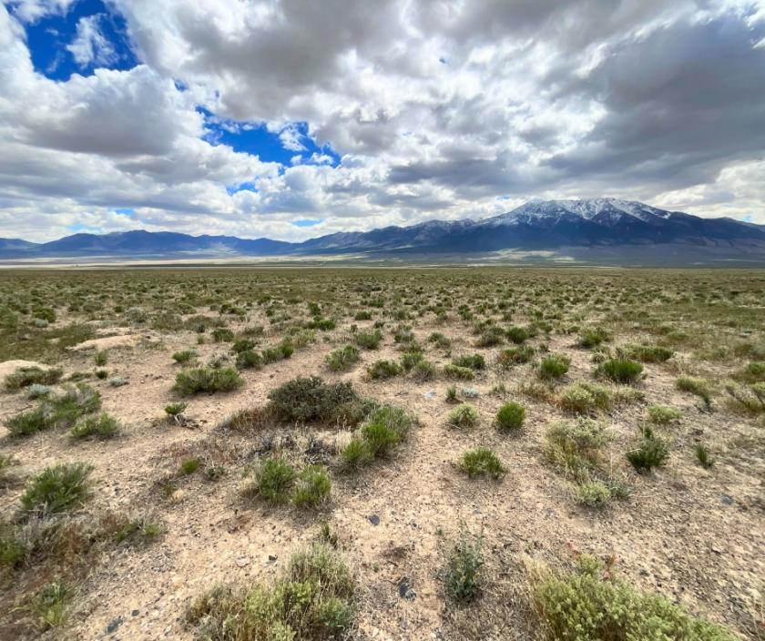 10 Acres for Sale in Loray, Nevada