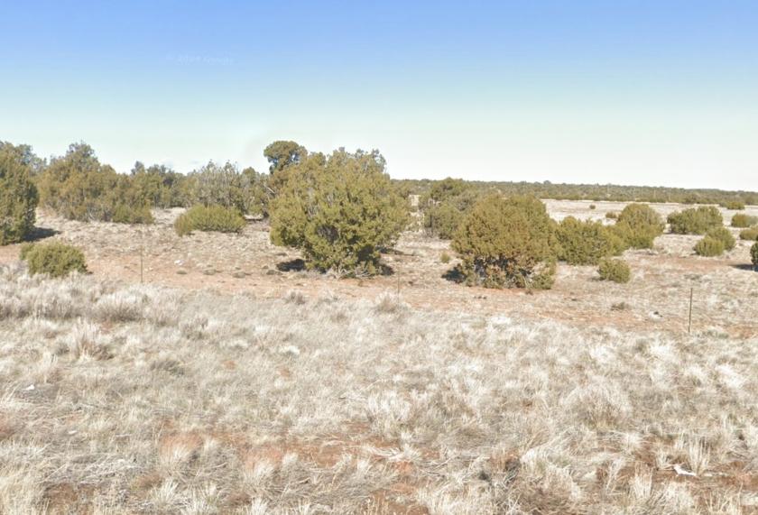 1.12 Acres for Sale in Concho, Arizona