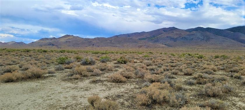 42.35 Acres for Sale in Winnemucca, Nevada