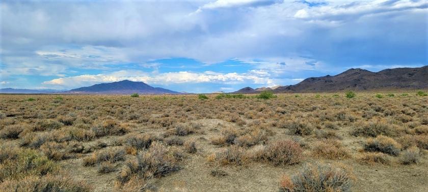 42.35 Acres for Sale in Winnemucca, Nevada