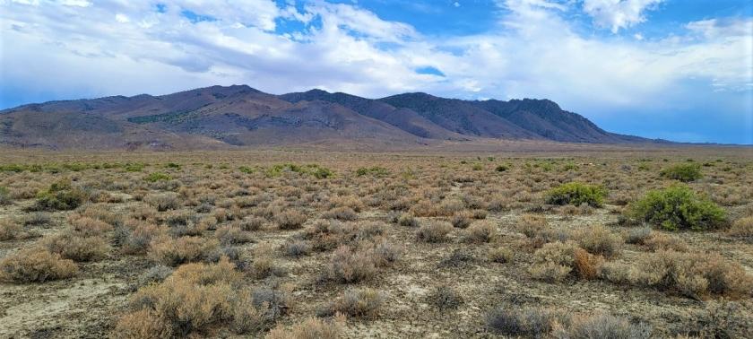 42.35 Acres for Sale in Winnemucca, Nevada