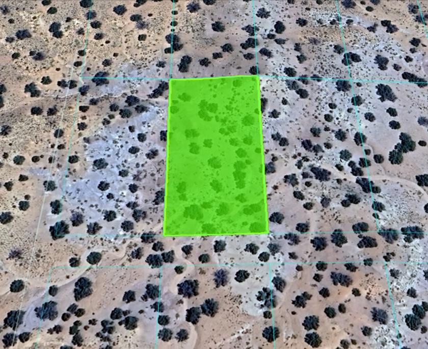 1.07 Acres for Sale in Sanders, Arizona