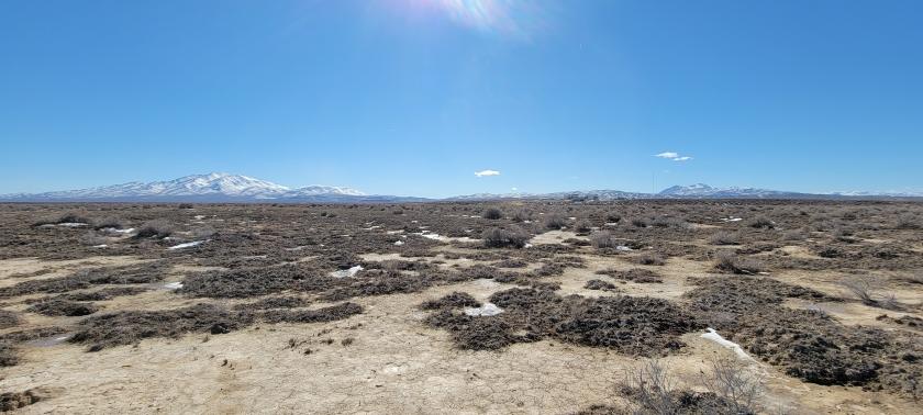 51.89 Acres for Sale in Valmy, Nevada