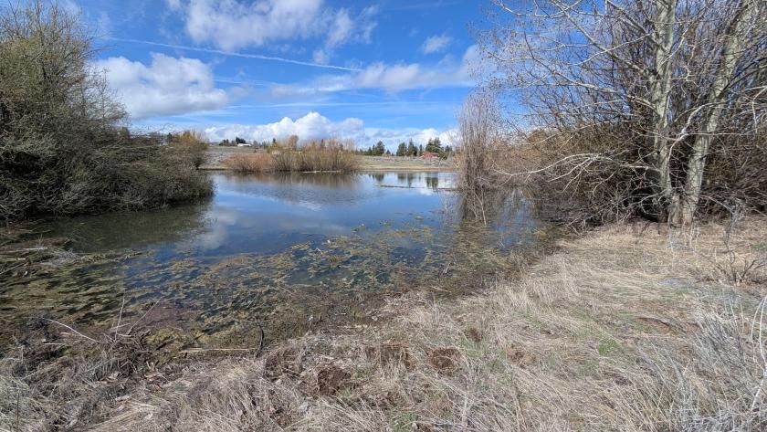 .43 Acres for Sale in Chiloquin, Oregon