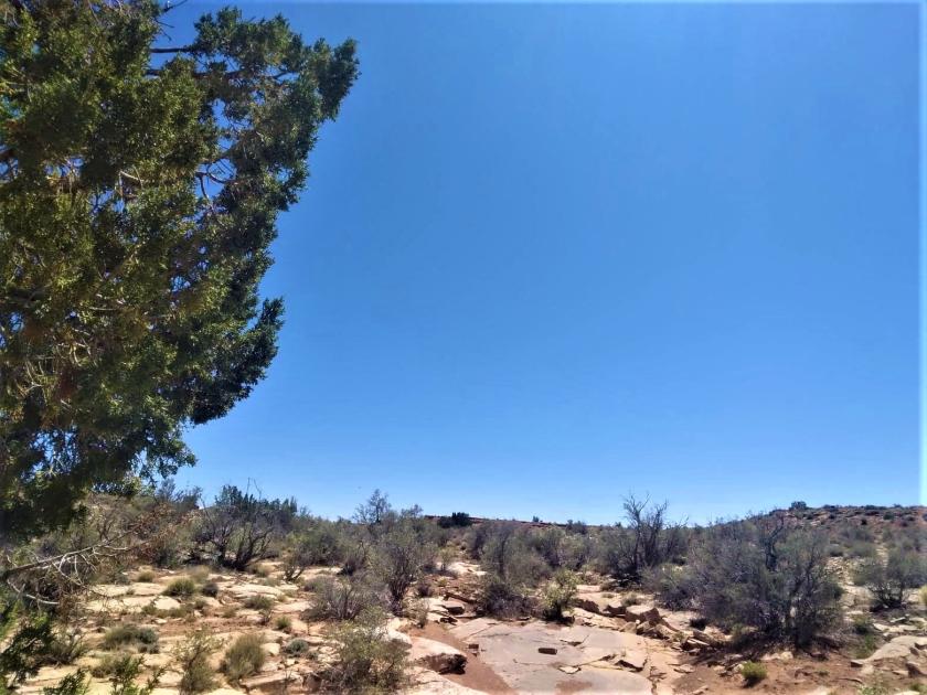 5 Acres for Sale in Saint Johns, Arizona