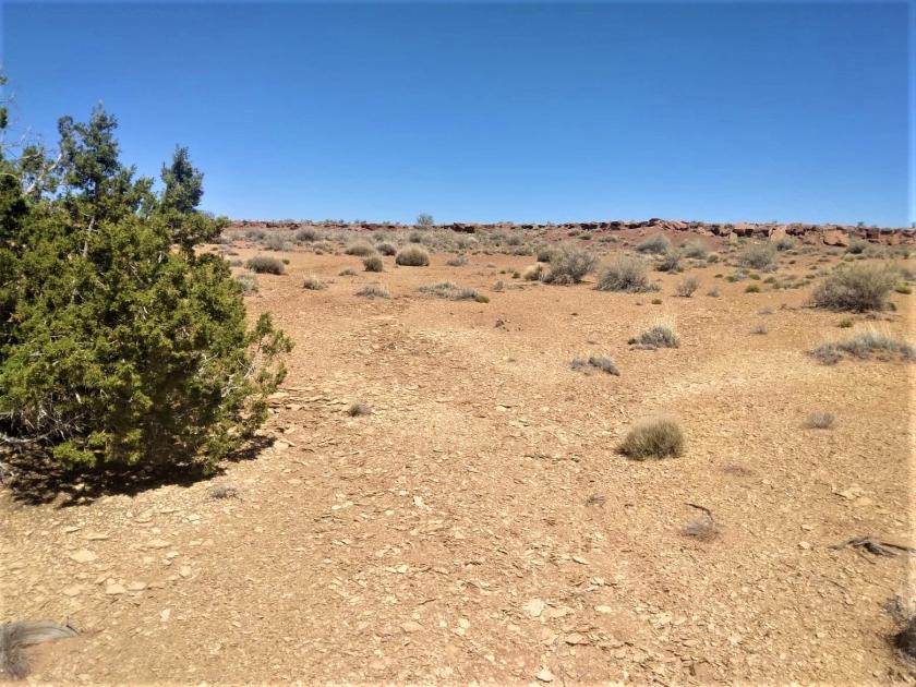 5 Acres for Sale in Saint Johns, Arizona