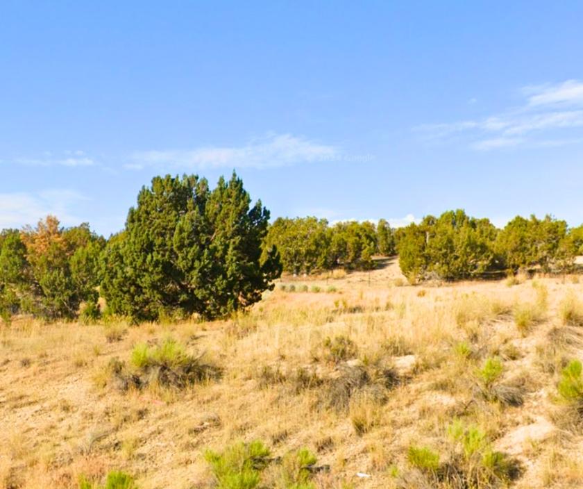1.13 Acres for Sale in Osino, Nevada