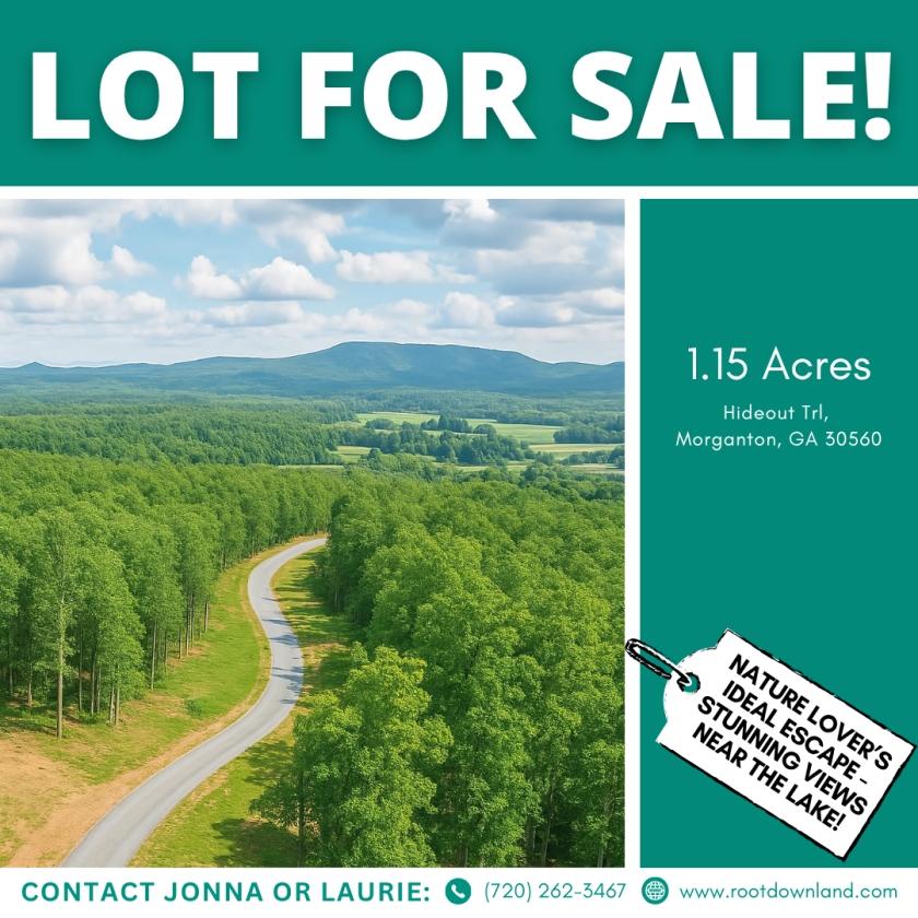 1.15 Acres for Sale in Morganton, Georgia