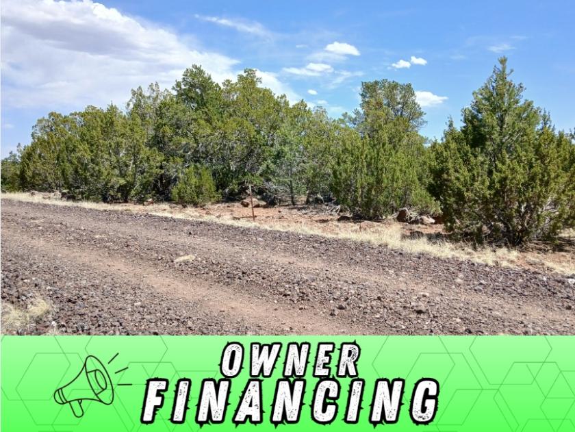2.34 Acres for Sale in Concho, Arizona