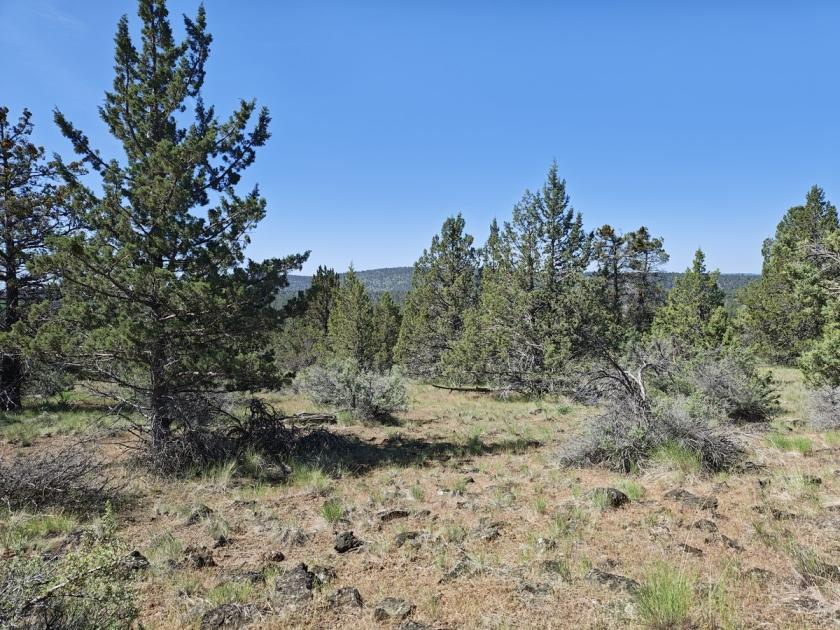 1.91 Acres for Sale in Bonanza, Oregon