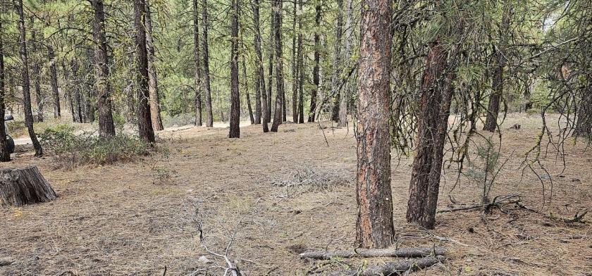 2.48 Acres for Sale in Bonanza, Oregon