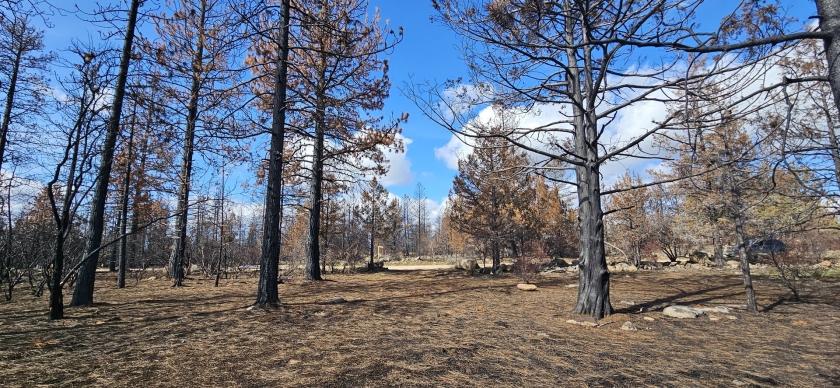 4.6 Acres for Sale in Bonanza, Oregon