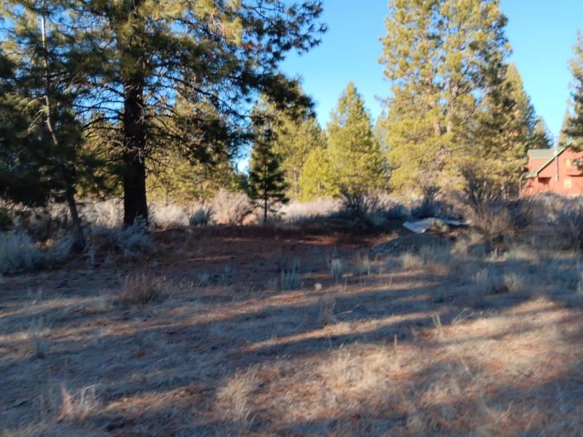 0.37 Acres for Sale in Chiloquin, Oregon
