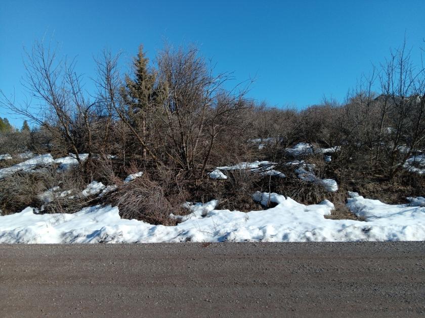 0.46 Acres for Sale in Chiloquin, Oregon