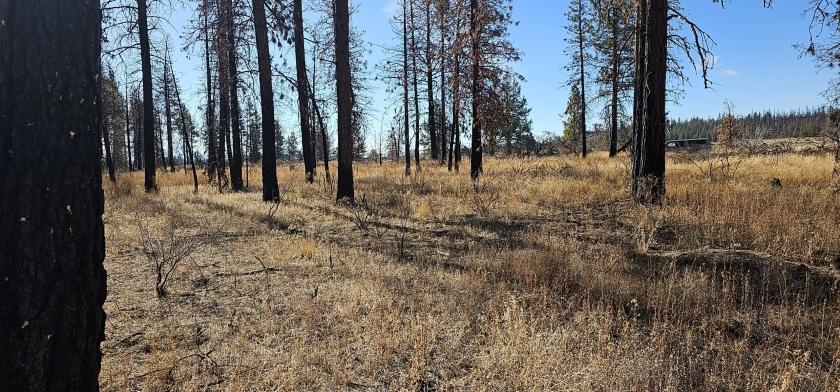 3.01 Acres for Sale in Chiloquin, Oregon