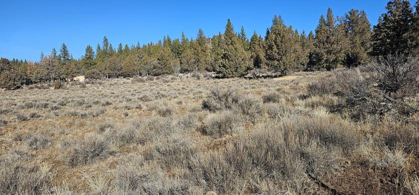 1.46 Acres for Sale in Sprague River, Oregon