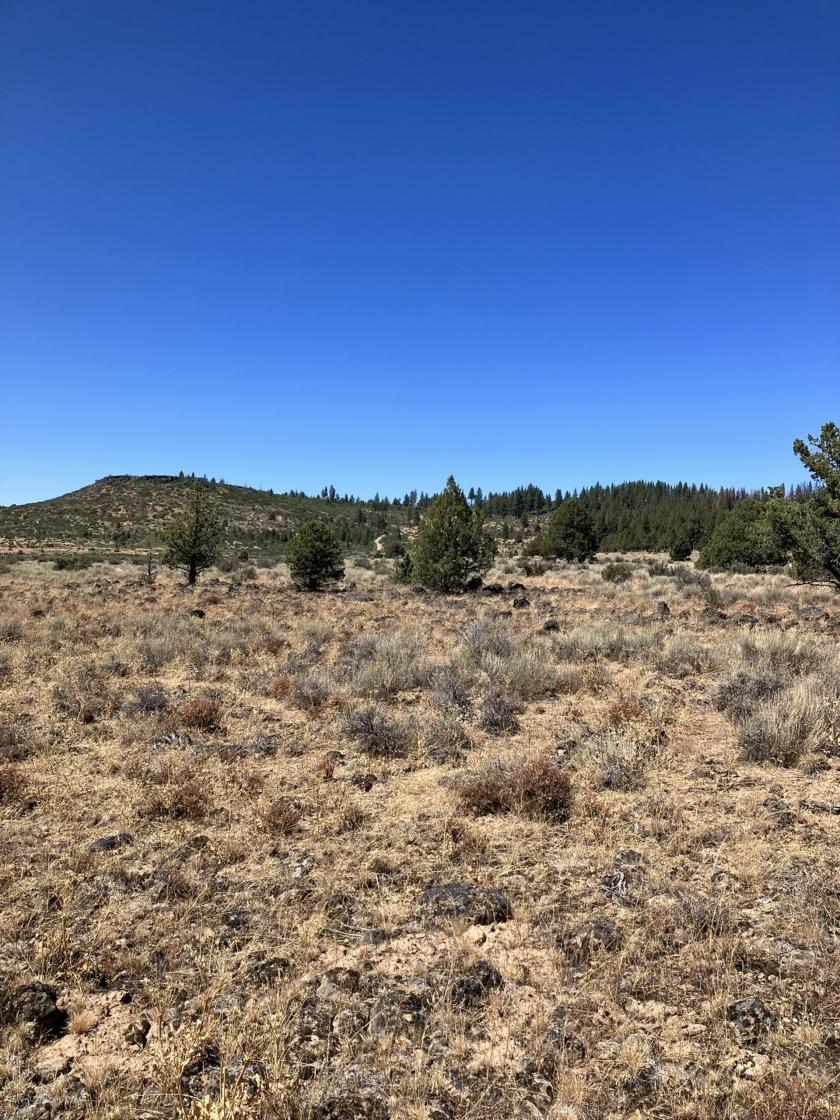 1.52 Acres for Sale in Chiloquin, Oregon
