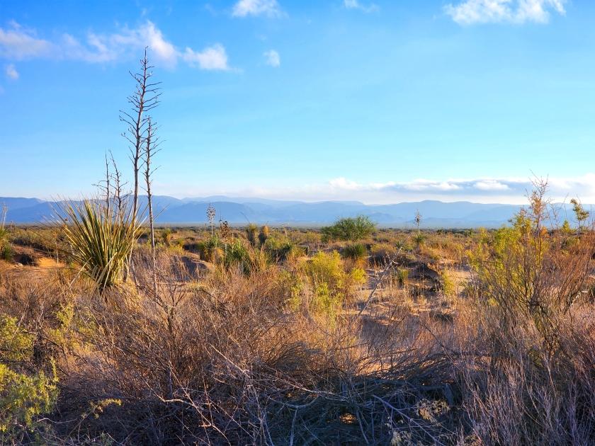 1 Acres for Sale in Agua Dulce, Texas