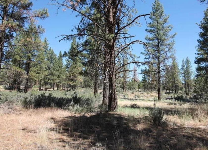 2.35 Acres for Sale in Chiloquin, Oregon