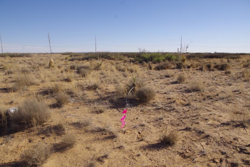 0.31 Acres for Sale in El Paso, Texas