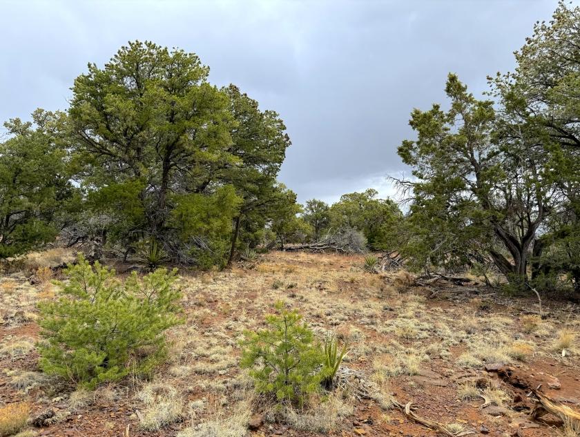5.18 Acres for Sale in El Morro Valley, New Mexico