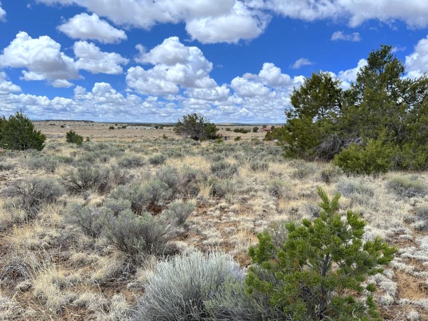 5.04 Acres for Sale in El Morro Valley, New Mexico