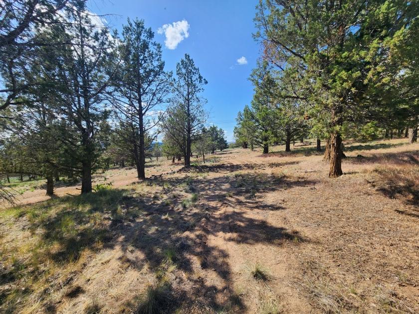 3.22 Acres for Sale in Beatty, Oregon