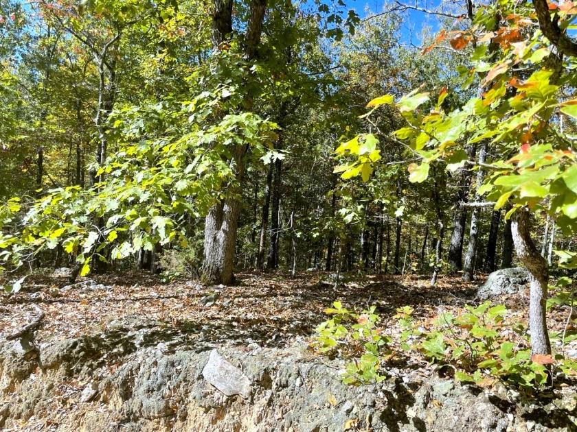 0.38 Acres for Sale in Williford, Arkansas