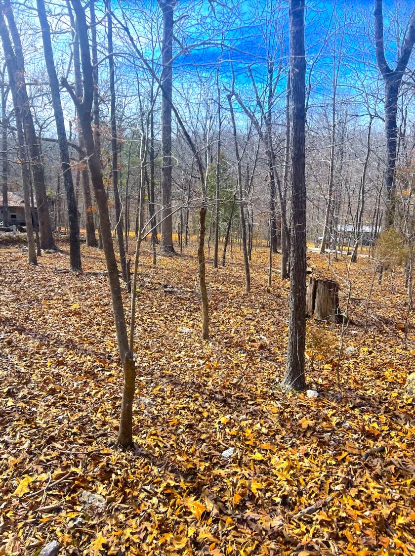 0.14 Acres for Sale in Williford, Arkansas