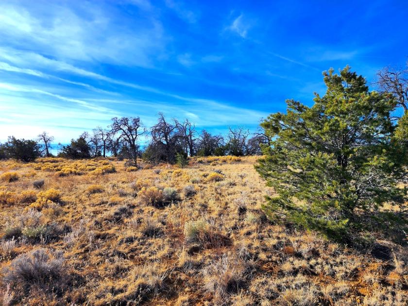 5.34 Acres for Sale in Pinehill, New Mexico