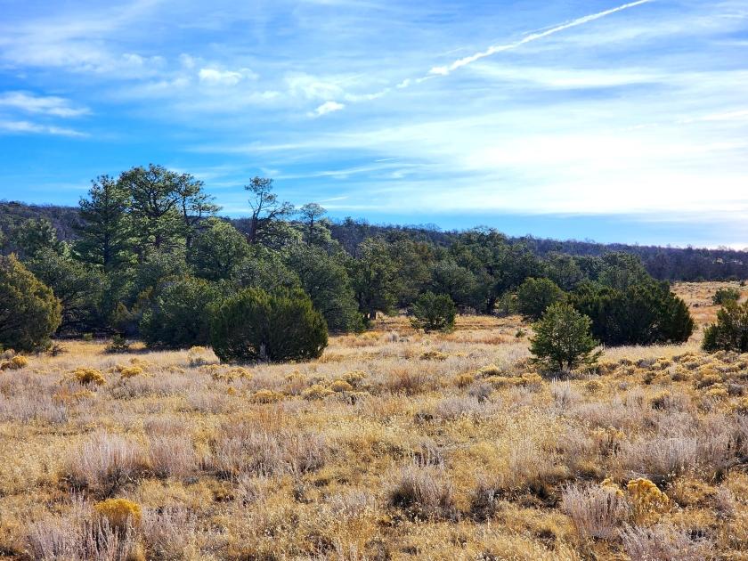 2.50 Acres for Sale in El Morro Valley, New Mexico