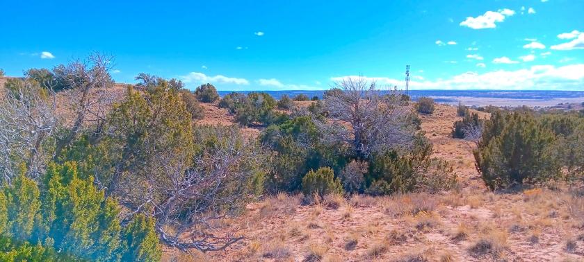 2.00 Acres for Sale in Sanders, Arizona
