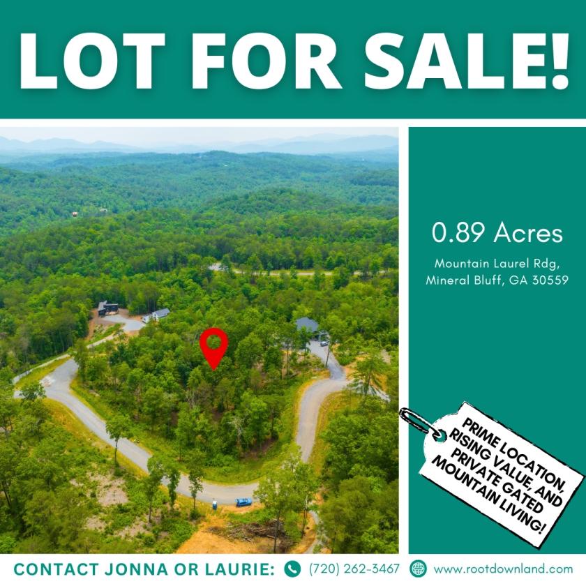 0.89 Acres for Sale in Mineral Bluff, Georgia