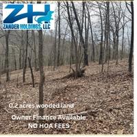 0.2 Acres for Sale in Ozark Acres, Arkansas