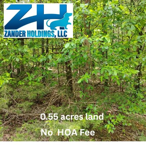 0.55 Acres for Sale in White Buffalo Trce, Arkansas