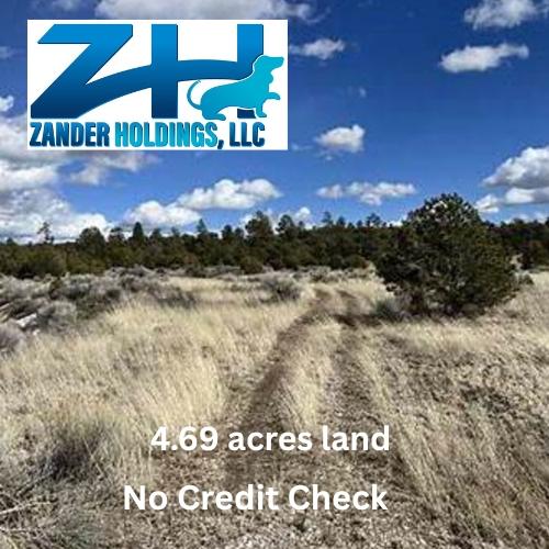 4.69 Acres for Sale in Rameh, New Mexico