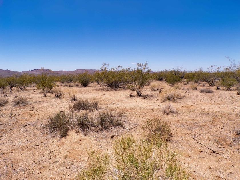 1 Acres for Sale in Golden Valley, Arizona