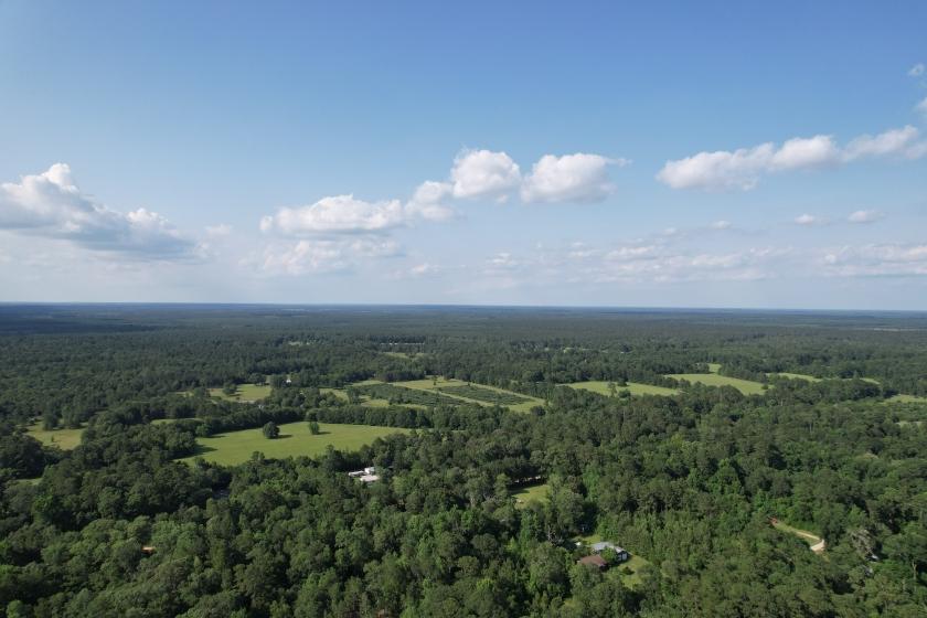 0.29 Acres for Sale in Big Thicket Lake Estates, Texas
