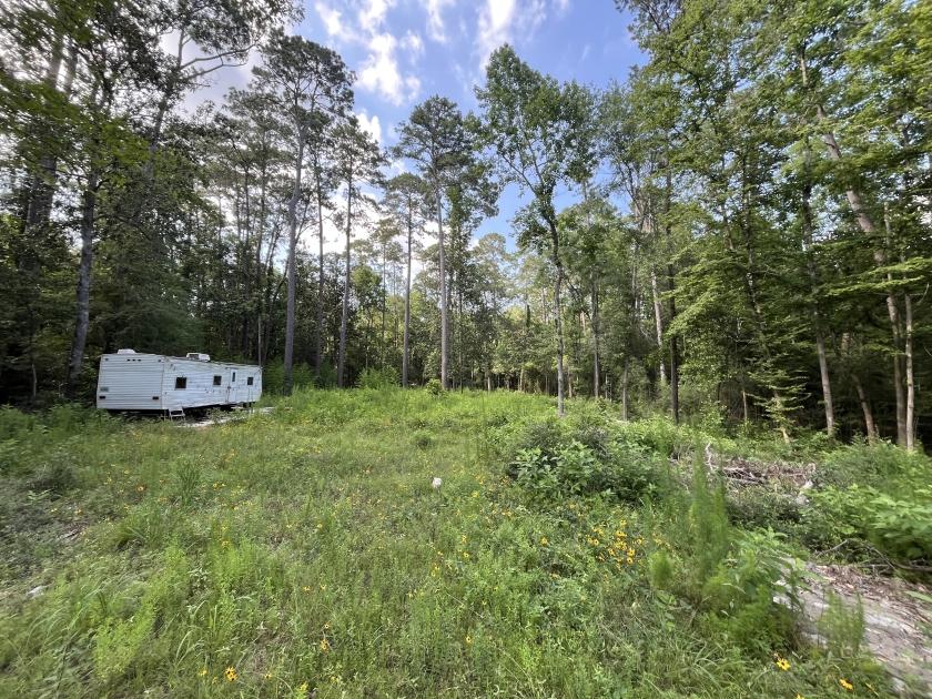 0.57 Acres for Sale in Big Thicket Lake Estates, Texas